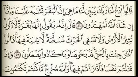 الصفحة (11) سورة البقرة فارس عباد الصفحة التالية على الوصف