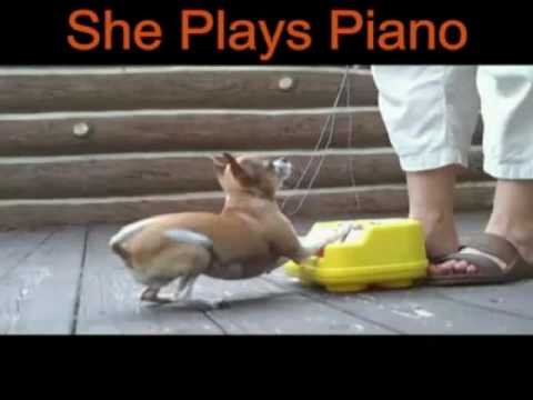 Vote For Salsa.wmv