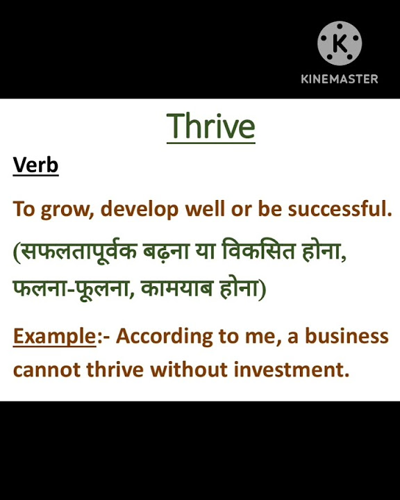 thrive-meaning-audio-for-specially-abled-persons-youtube