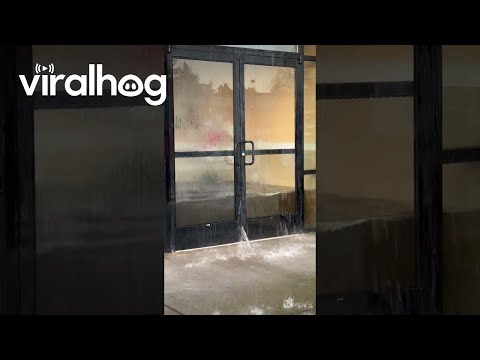 Video: De 15 bästa restaurangerna i Portland, Oregon