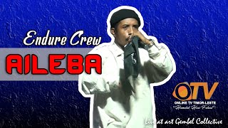 Aileba - Endure Crew Live Perform Surviver - Gembel Art Collection