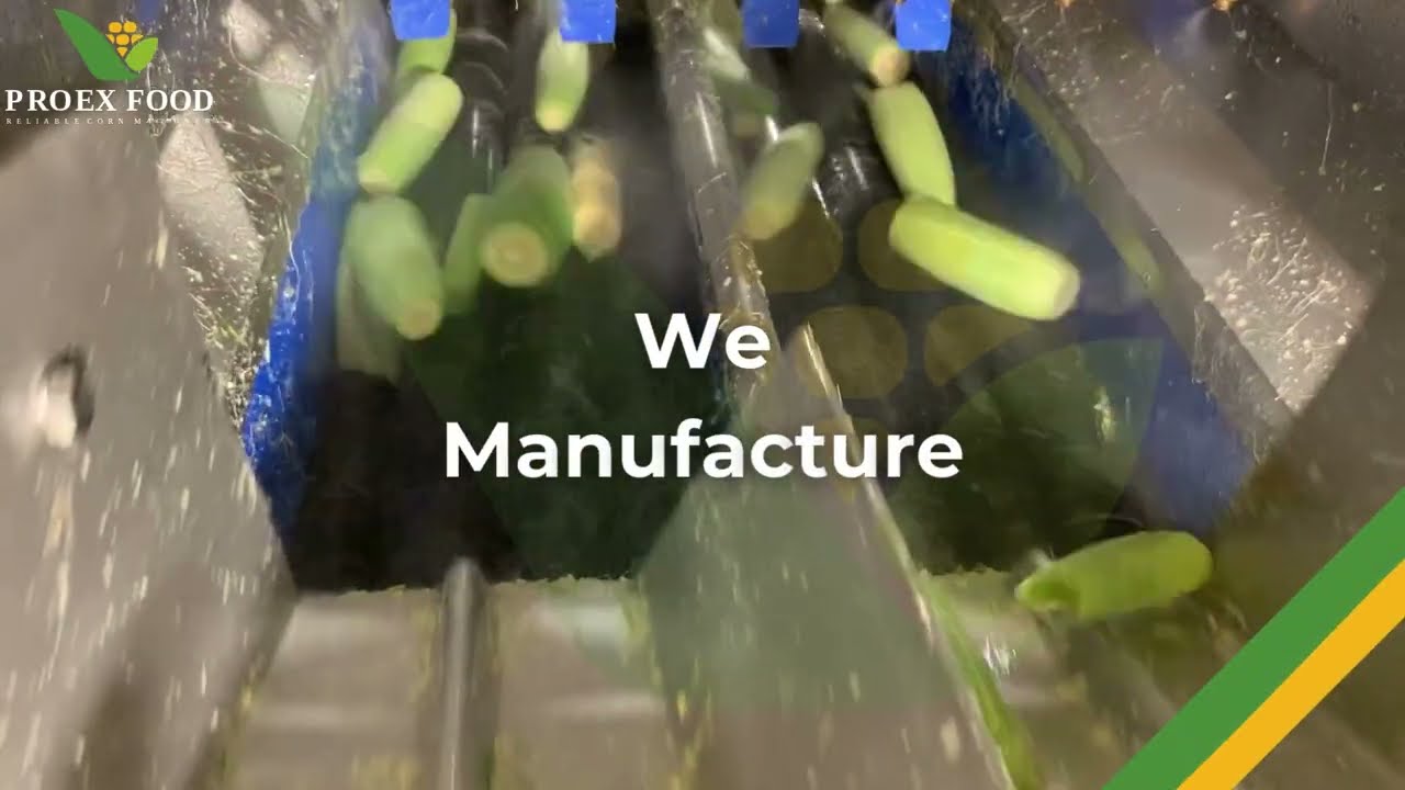 PROEX FOOD for Reliable Corn Machinery and Turnkey Processing Lines