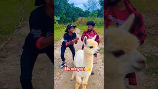 Lala lala💫😜🙏👍#funny #realfoolsteam #vikramcomedy #surajroxfunnyvibeo #comedy #shotstory