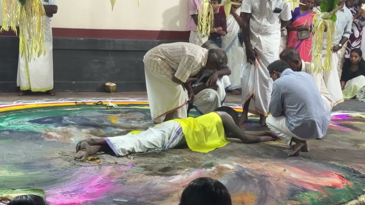 നാഗരാജാവ് സർപ്പകളം മായ്ക്കുന്നത് കണ്ടിട്ടുണ്ടോ? ?? 