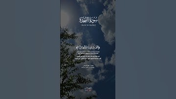 تلاوة خاشعة للشيخ #ماهر_المعيقلي من سورة السجدة
