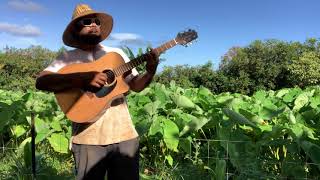 Ka'ikena Scanlan peforms unrealeased song "Perfarmer" #islandmusicawards #extra