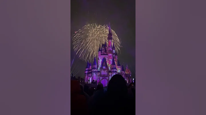 Magic Kingdom Villaintines Day Happily Ever After