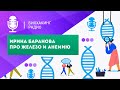 Почему гречкой не поднять железо, чем опасна анемия для беременных и плода, признаки анемии у детей