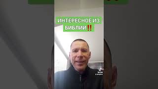 ИНТЕРЕСНОЕ ИЗ БИБЛИИ‼️