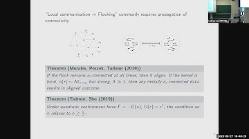 Generic alignment conjecture and the problem of emergence of collective behavior