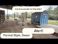 Slow Motion Body Language & Odor Behavior Case Study - Bullet 1 (2/26/26) full study