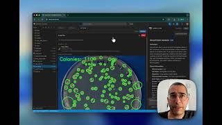 How to analyze lab images using AI (Tutorial)