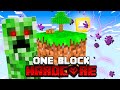 Minecraft One Block, But It's HARDCORE!