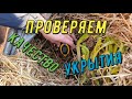 Проверка качества укрытия. Виноградник Вадима Точилина.