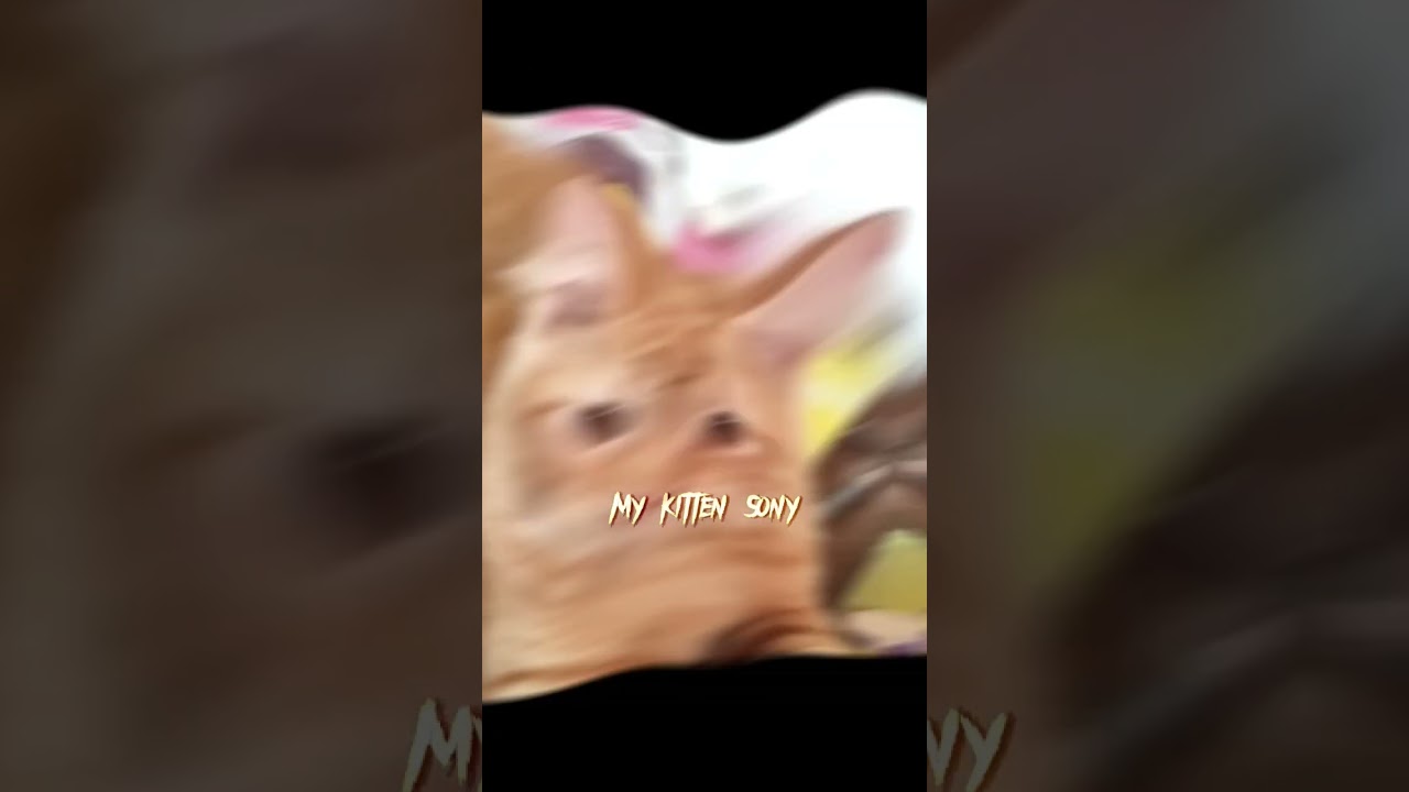 nah mewing is better