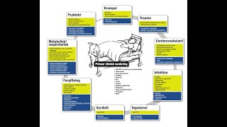 "Patienten med nedsat bevidsthedsniveau - Del 2: Gennemgang af bevidsthedshjulet" - YDAM late night