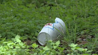 As other parks improve, residents say Debaillon Park has been left behind