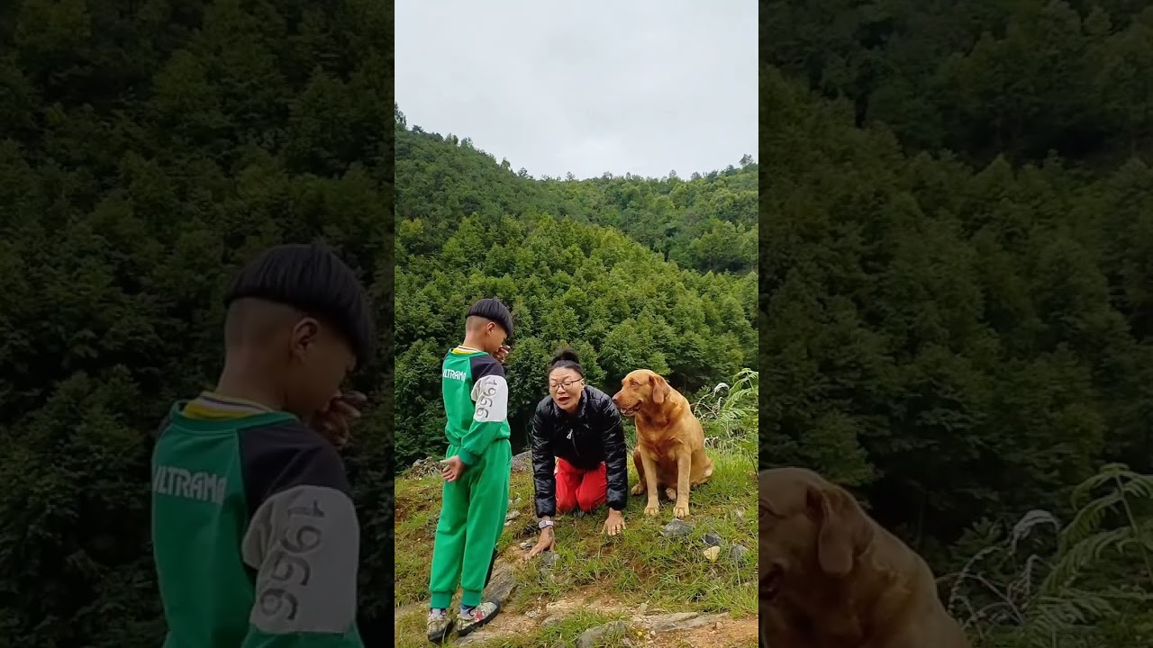 Short films, good entertainment videos every day for you #14