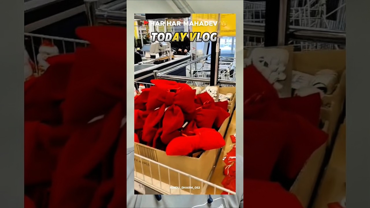 🤔A Day in 🇱🇹 Lithuania for an INDIAN 🇮🇳| Lithuania Vlog| 