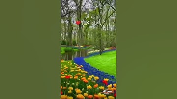 سوره الاحقاف تلاوه خاشعه تريح القلوب اسلام صبحي 🌷🌹❤️