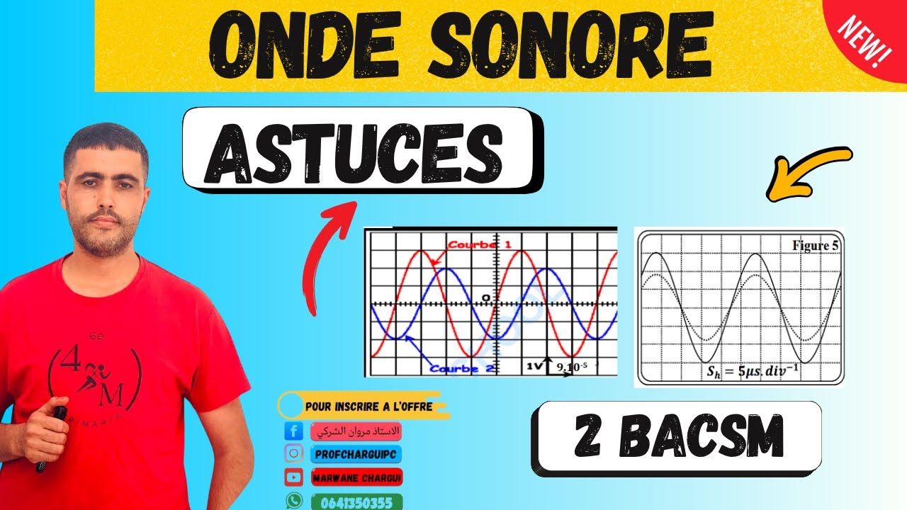 🔊 Onde Mécanique Progressive Périodique – Astuces Onde Sonore et Ultrasonore | 2 BAC SM PC