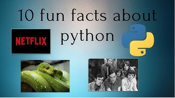 10 fun facts you don