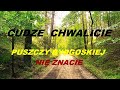 CUDZE CHWALICIE, PUSZCZY BYDGOSKIEJ NIE ZNACIE