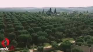زرنا عفرين حالات واتس أب Zurna Efrin