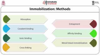 Enzyme Immobilization techniques, use of isolated enzymes in industrial processes
