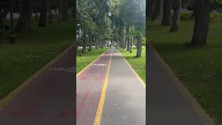 Caminando y rezando el Ave María #diosesbueno #diosesmicasa #diosesamor
