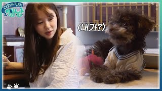 Dear My Human 만렙 견주 윤은혜, 기쁨이 성대모사 시전!! 171129 EP.11