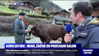 En plein direct, la rencontre (très agitée) avec Neige, prochaine égérie du salon de l'Agriculture