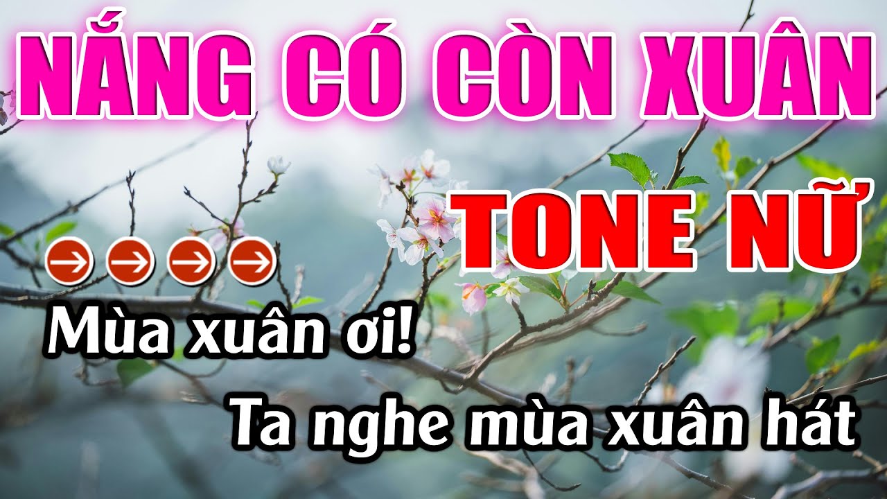 Nắng Có Còn Xuân Karaoke Tone Nữ ( Ebm ) Karaoke Lâm Beat - Beat 2025