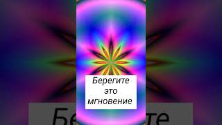 Берегите это мгновение#shorts