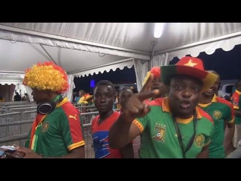 Coaches and players react after Cameroon's victory