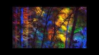 Filters And Edits - Hiatus Kaiyote - Everythings Beautiful Instrumental
