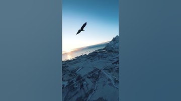 القرآن الكريم بصوت جميل جدا جمعة مباركة 🌹