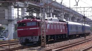 配8991レ EF81 97+24系×2両