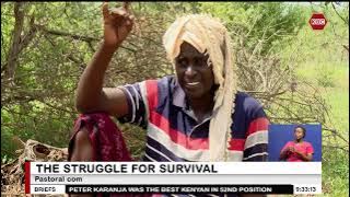 Pastoral community in Titila village fighting to save its livestock from death