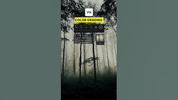 Moody Fogg Color Grading In VN Video Editor.  #colourgrading #videoeditor #shorts