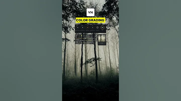 Moody Fogg Color Grading In VN Video Editor.  #colourgrading #videoeditor #shorts