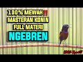 KOLIBRI NINJA GACOR FULL TEMBAKAN NGEBREN 100% AMPUH BUAT MASTERAN KONIN LOMBA