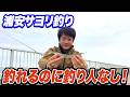 【高洲海浜公園】浦安でサヨリ釣りをしたら4投でヒット！釣り人はほぼなし ~BougeRV 電動キャリーワゴン 楽GoWagonを紹介~