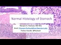 Normal histology of Stomach-Maryam Pezhouh MD