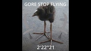 Mhwilds Challenge Quest Gore Magala Dual Blades 222 Solo Ps5