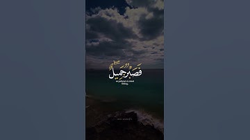 فصبر جميل 🤍 ｜ اكتب شي تؤجر عليه ♡✨️ ｜ القارئ محمد هشام ｜ قرآن كريم