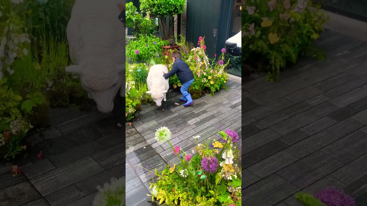 This is Why Flower show in london is Going Viral! 