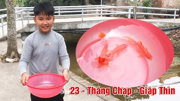 Phạm Đào Duy Anh Thả Cá Chép Tết Ông Công Ông Táo | 23 Tháng Chạp Năm Giáp Thìn
