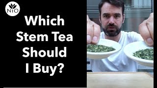 Celebrity Which Stem Tea Should I Buy? Wealth