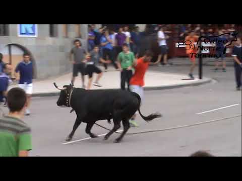 Mutriku  (Guipuzcoa) Sokamuturra 16-09-2015 Ibiri ganaderia